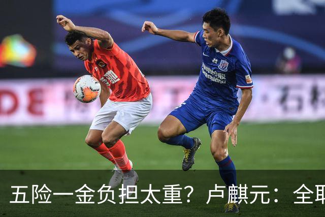 五险一金负担太重？卢麒元：全取消，征房产直接税，经济才会正常